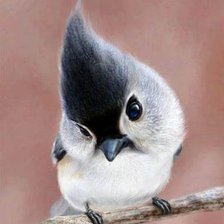 Схема вышивки «№717328»