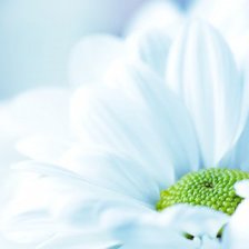 Схема вышивки «№717330»