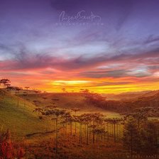 Схема вышивки «Закат в сафари»