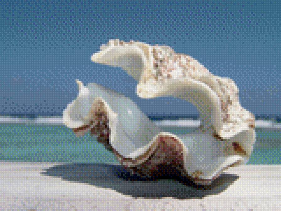 морской цветок - предпросмотр