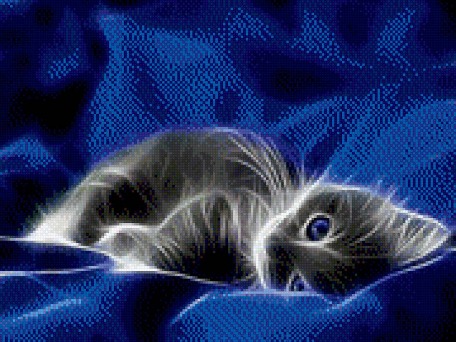 котик - кот, животные - предпросмотр