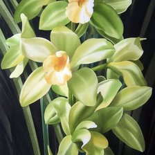 Схема вышивки «орхидеи»