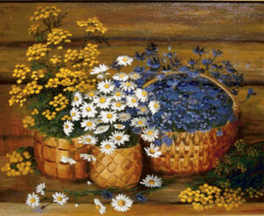 полевые цветы - васильки, ромашки, цветы - предпросмотр