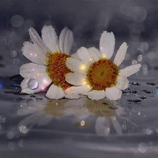 Схема вышивки «ромашки»