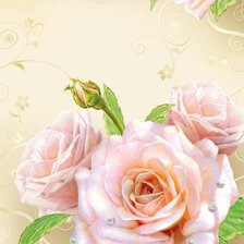 Схема вышивки «розы»