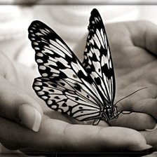 Схема вышивки «Бабочка в ладошках»