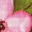 Предпросмотр схемы вышивки «яблоневый цвет» (№718043)