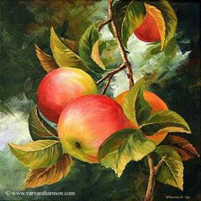 Схема вышивки «яблочки»