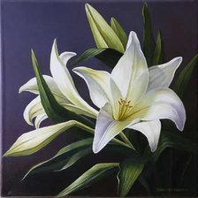 Схема вышивки «белые лилии»