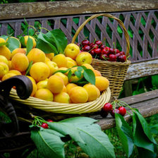 Схема вышивки «серия "фрукты"»