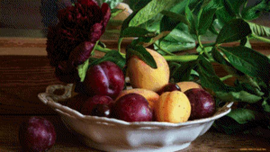 серия "фрукты" - фрукты.цветок.сливы.абрикосы - предпросмотр