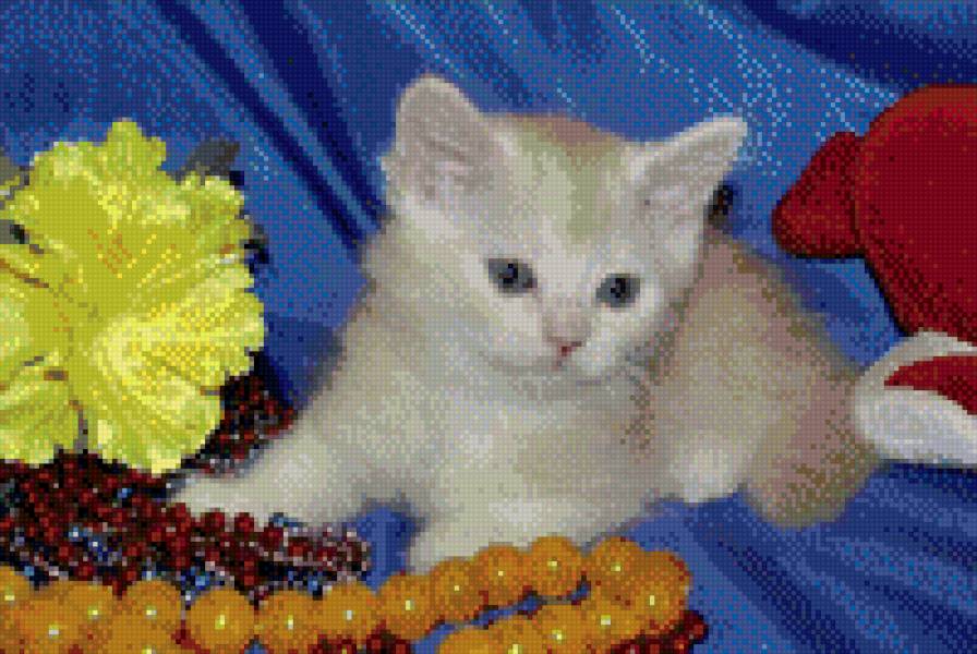 котенок - животные, кошки - предпросмотр