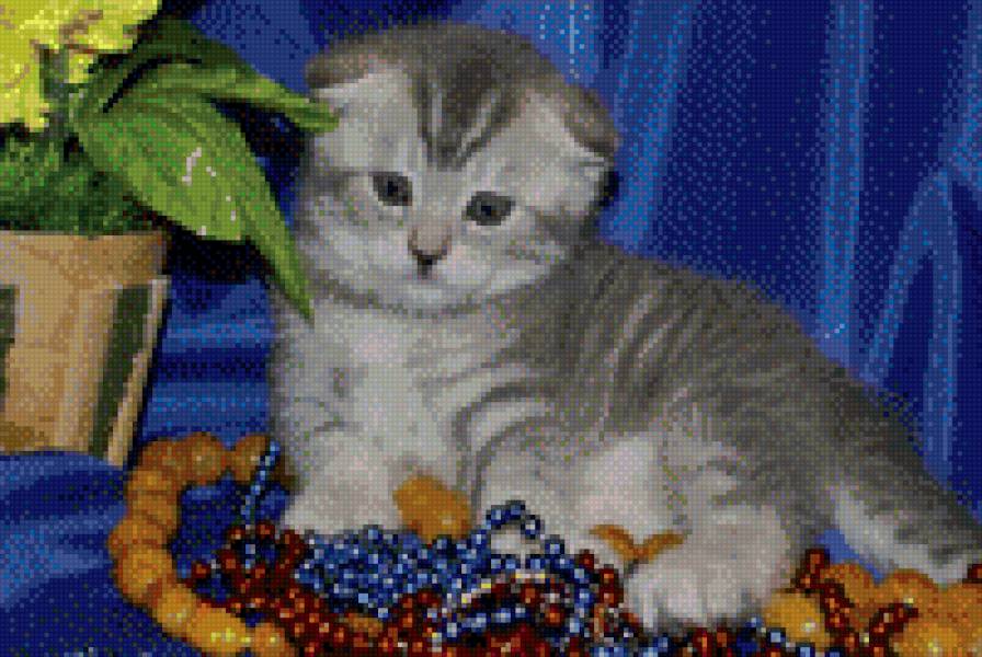 котенок - кошки, животные - предпросмотр