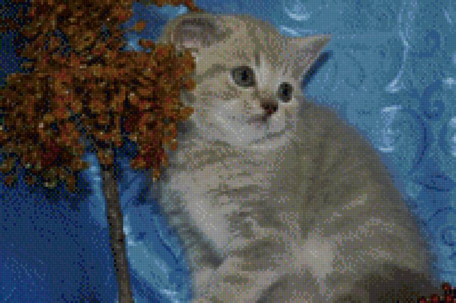 котенок - животные, кошки - предпросмотр