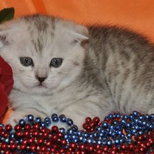 Схема вышивки «Котенок»