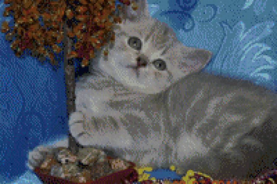 котенок - животные, кошки - предпросмотр