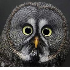 Схема вышивки «№718123»