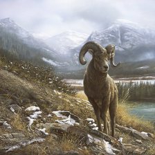 Схема вышивки «Горный житель»