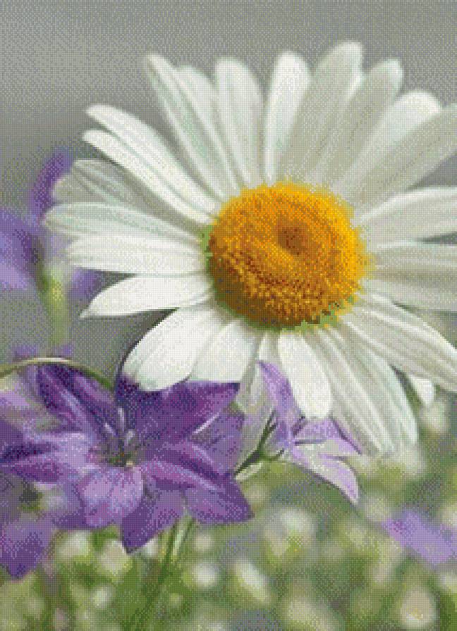 ромашка - предпросмотр