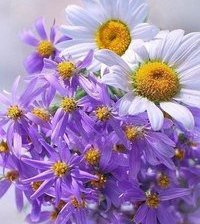 Схема вышивки «букет»