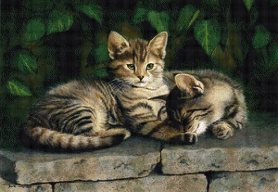 Котята-милашки - мир животных (кошки) - предпросмотр