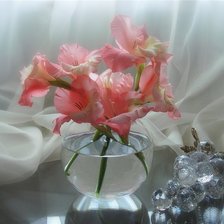 Схема вышивки «натюрморт с гладиолусами»