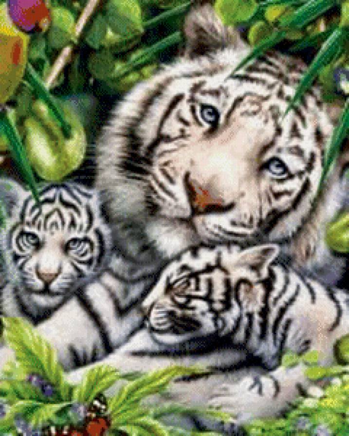 тигриная семья - тигриная семья - предпросмотр