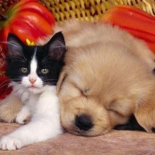 Схема вышивки «друзья»