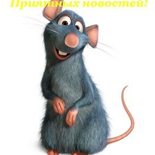 Схема вышивки «крыс2»