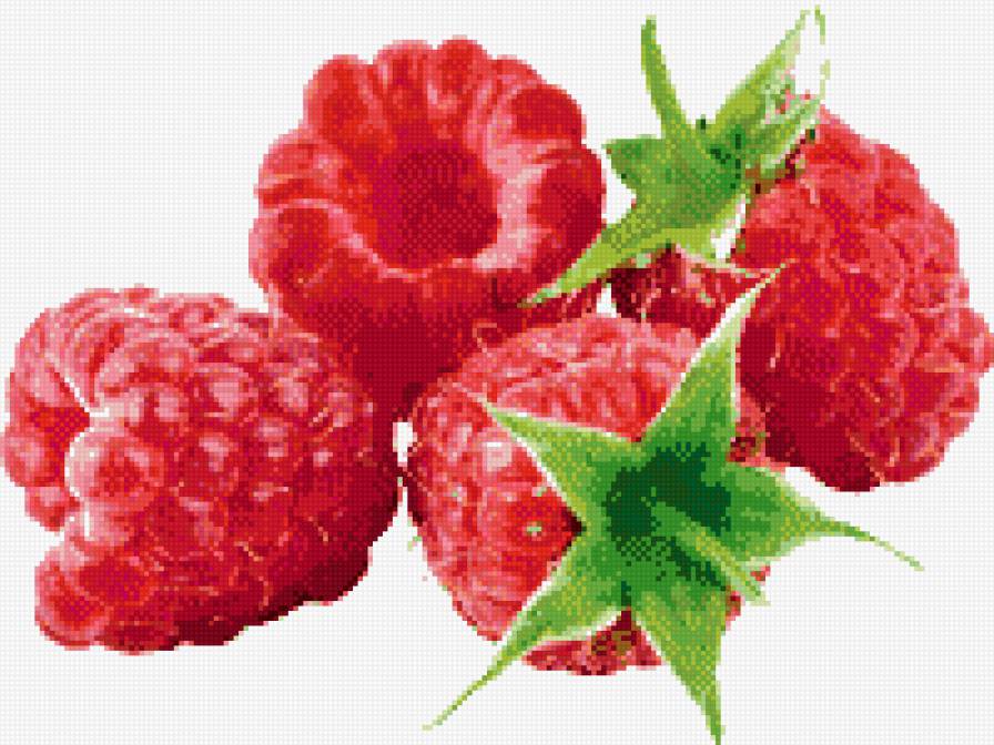 Малина - фрукты - предпросмотр