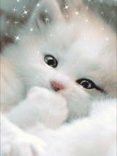 Схема вышивки «животные»