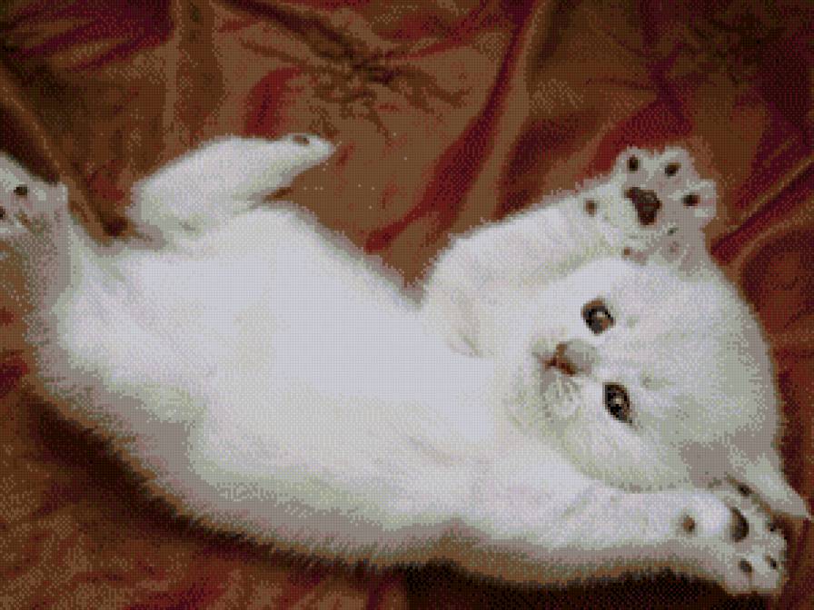 животные - предпросмотр