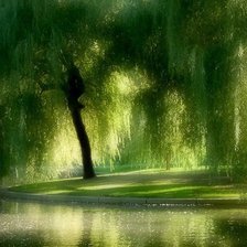 Схема вышивки «ивушка»