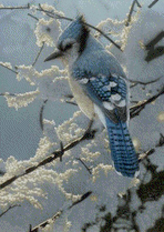 птичка - птицы, животные - предпросмотр