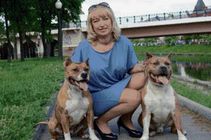 Мои любимцы - предпросмотр