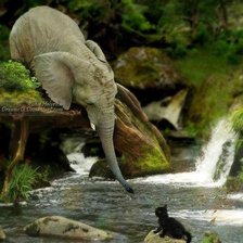 Схема вышивки «серия ,,живности"»