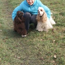 Схема вышивки «На усик и ее коккеры»