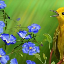 Схема вышивки «Птица»