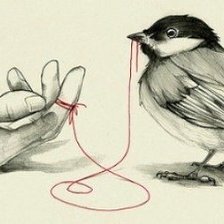 Схема вышивки «Тонкая, красная нить»