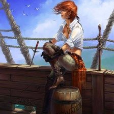 Схема вышивки «Пиратка»