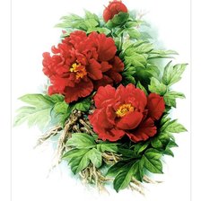 Схема вышивки «цветы(повторное)»