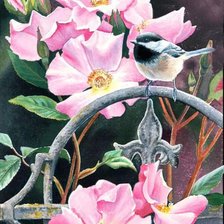 Серия птицы