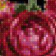 Предпросмотр схемы вышивки «цветы3» (№719913)