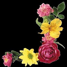 Схема вышивки «цветы5»