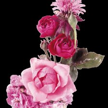 Схема вышивки «№719919»