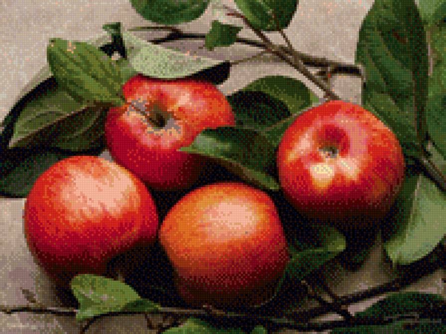 яблочки - предпросмотр