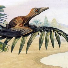 Схема вышивки «дино4»