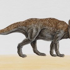 Схема вышивки «дино6»