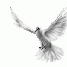 Схема вышивки «полёт»