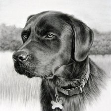 Схема вышивки «Дружок»